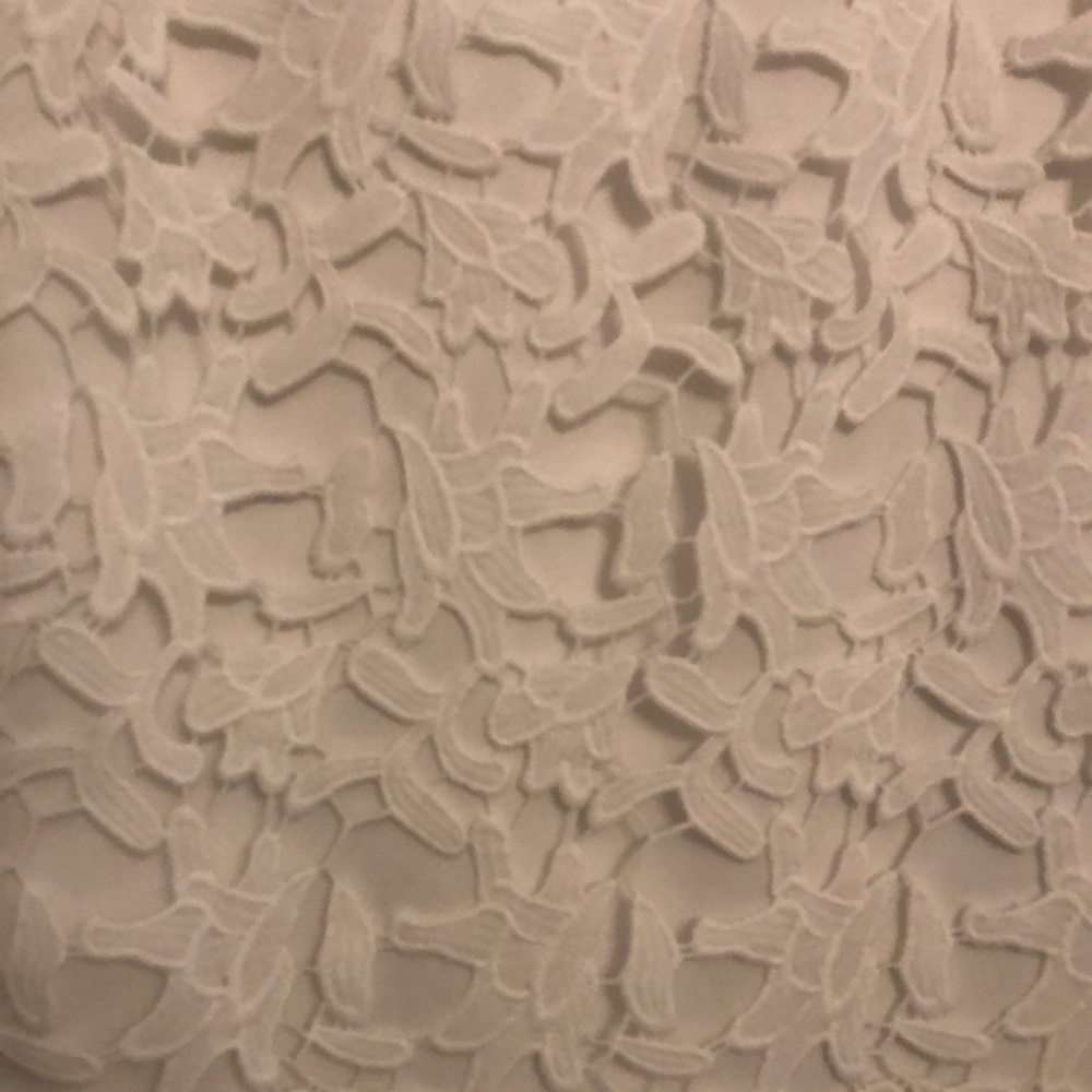Francesca's White XS Dress with Embroidered Lace Overlay - Picture 2 of 5